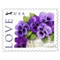 Love Pansies in a Basket Collectible Stamp Sheet of Twenty 44 Cent Stamps