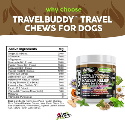 TravelBuddy