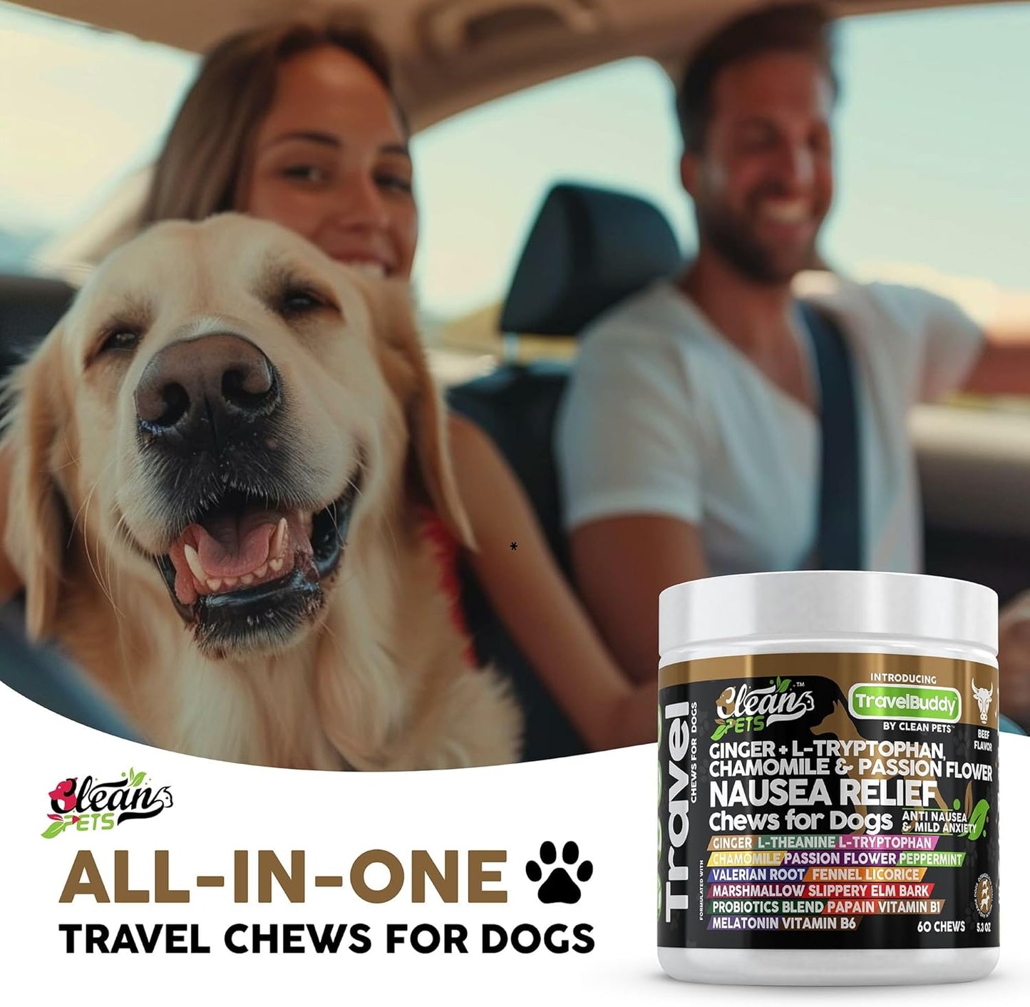TravelBuddy