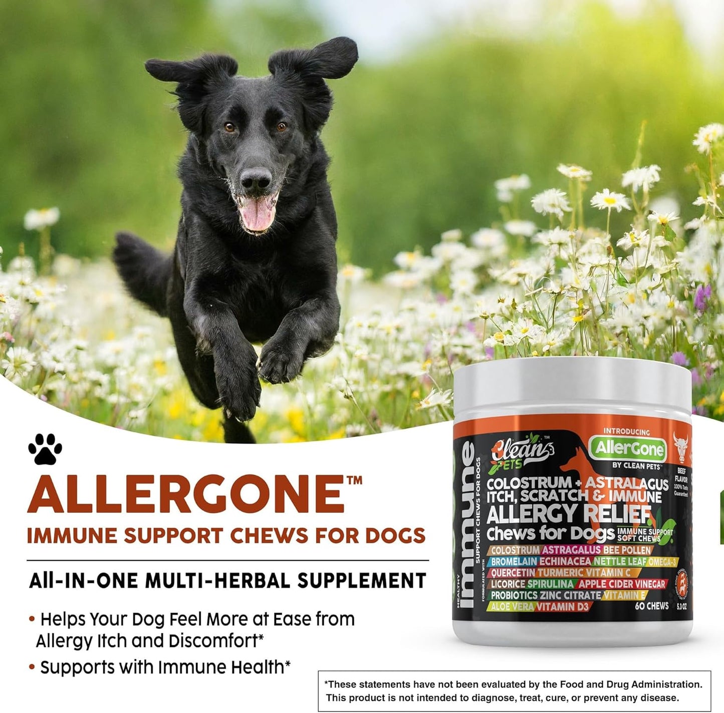 Allergy Immune