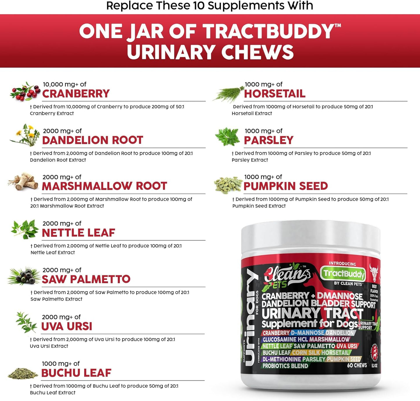 TractBuddy