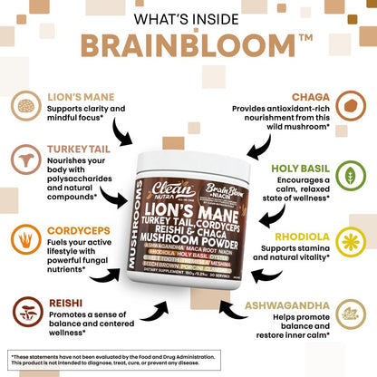 BrainBloom