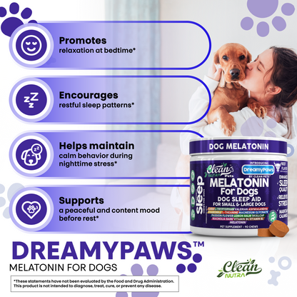 DreamyPaws