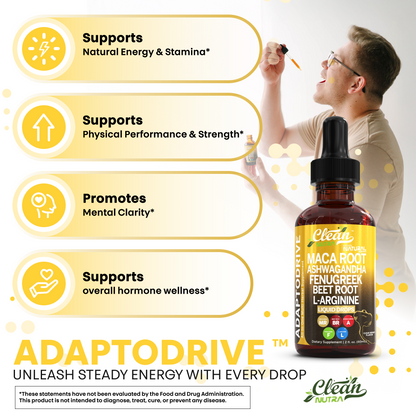 AdaptoDrive