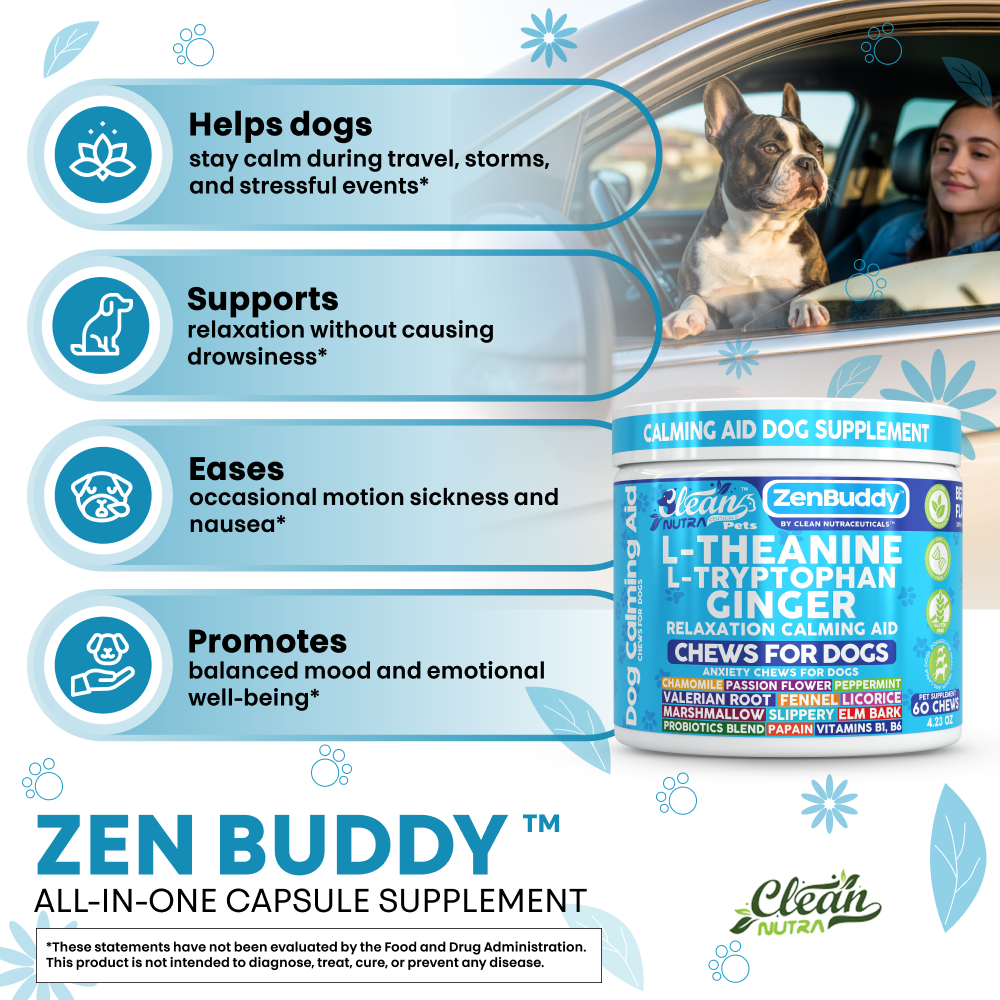 Zen Buddy