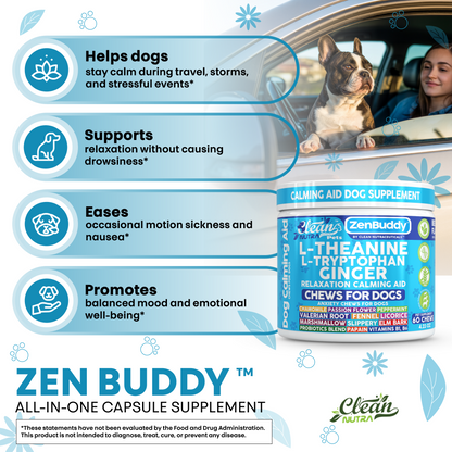 Zen Buddy