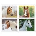 Horses