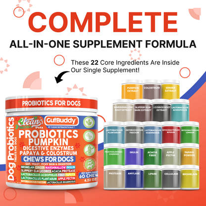 Gut Buddy Probiotic