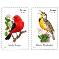 Song birds