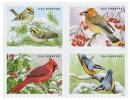 Songbirds in Snow