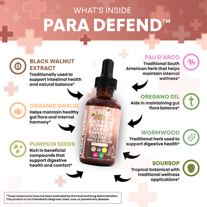 Para Defend