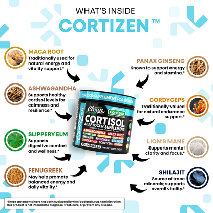 CortiZen