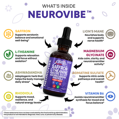 NeuroVibe