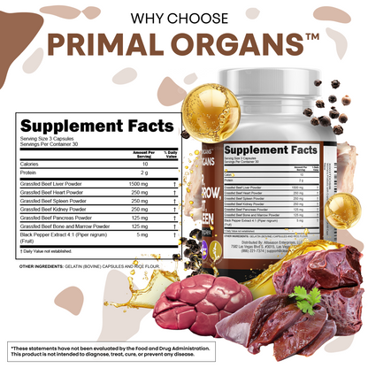 Primal Organs