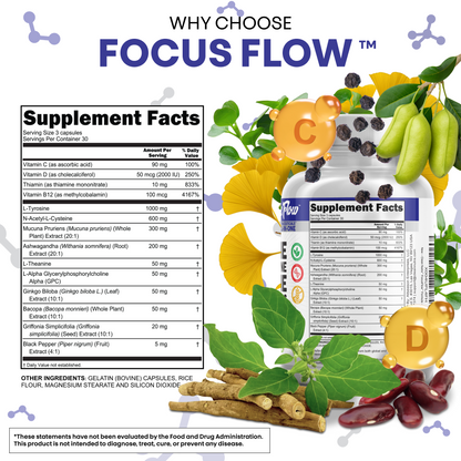Focus Flow