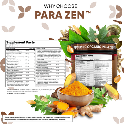 ParaZen
