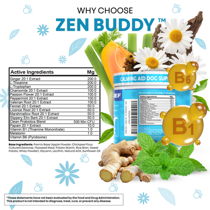 Zen Buddy