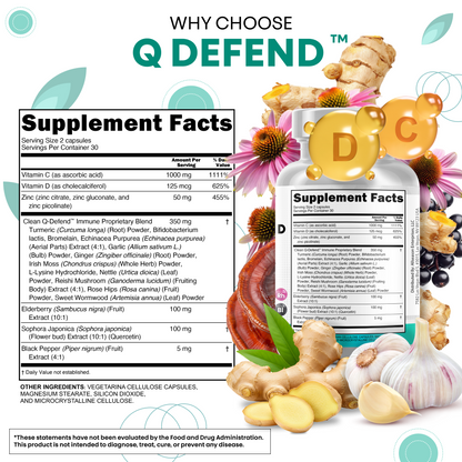 Q-Defend