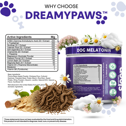 DreamyPaws