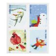 Winter Fun - Holiday Greetings